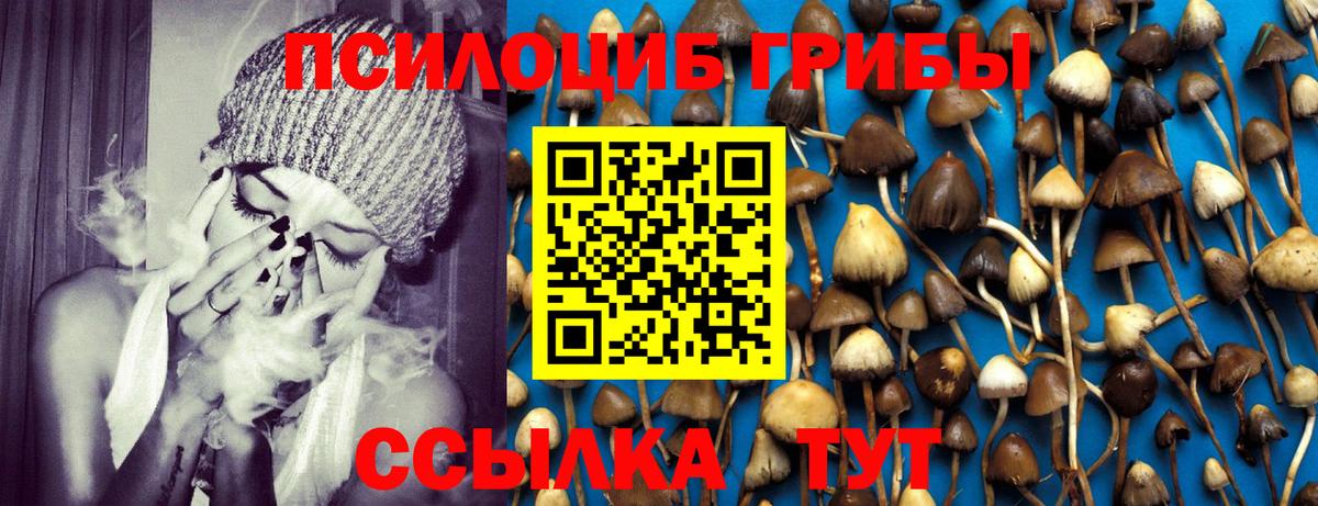 Галлюциногенные грибы мухоморы Апрелевка
