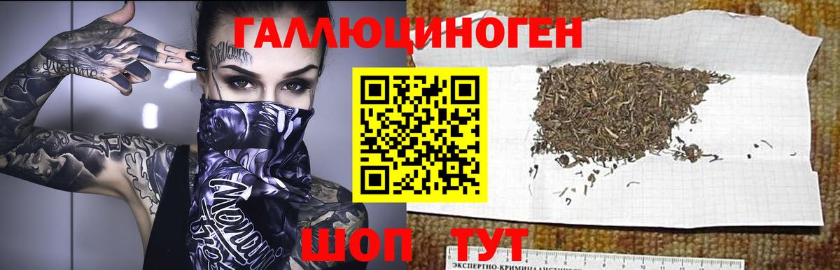 Псилоцибиновые грибы Psilocybe  Вход с VPN  Апрелевка 